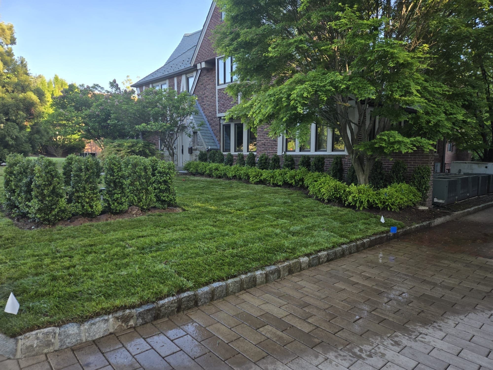Freshly cut front lawn with clipped hedges and a paver walkway along a large home