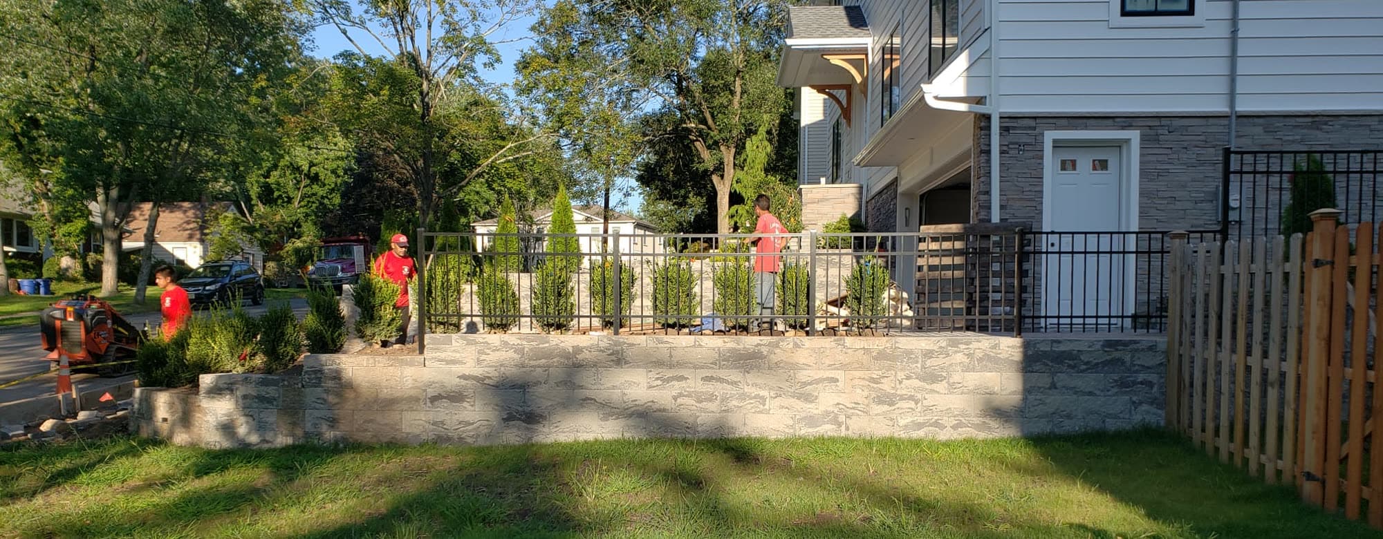 Fresh lawn below a stone retaining wall planted with young evergreens along a fence